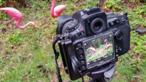 Digital SLR